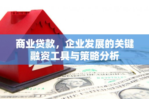 南溪商业贷款，企业发展的关键融资工具与策略分析