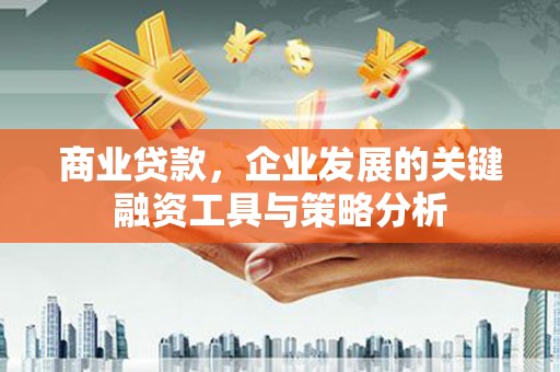 南溪商业贷款，企业发展的关键融资工具与策略分析