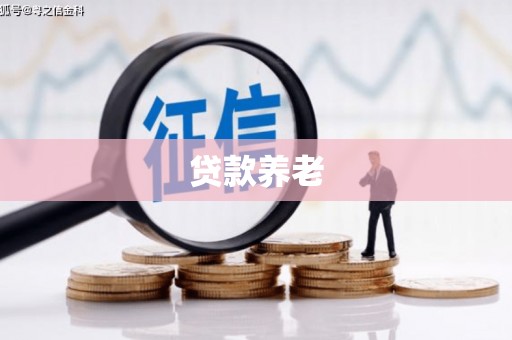 南溪贷款养老