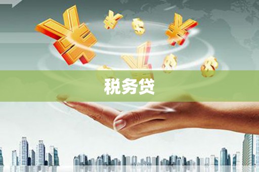 南溪税务贷