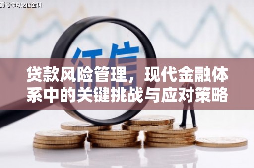南溪贷款风险管理，现代金融体系中的关键挑战与应对策略