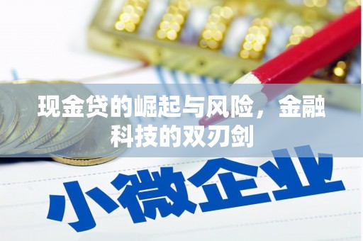 南溪现金贷的崛起与风险，金融科技的双刃剑