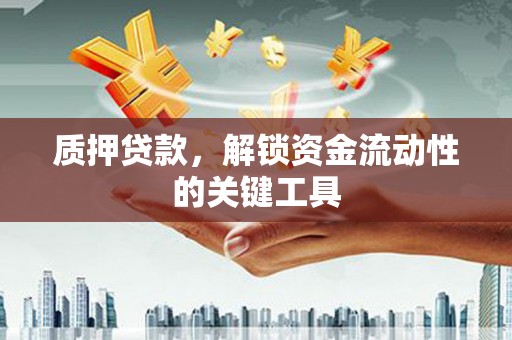 南溪质押贷款，解锁资金流动性的关键工具
