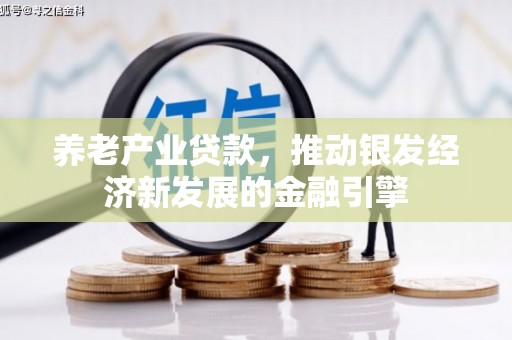 南溪养老产业贷款，推动银发经济新发展的金融引擎