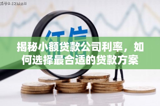 南溪揭秘小额贷款公司利率，如何选择最合适的贷款方案