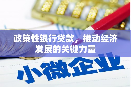 南溪政策性银行贷款，推动经济发展的关键力量