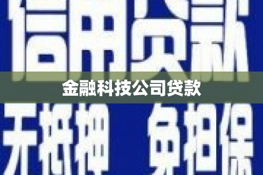 南溪金融科技公司贷款