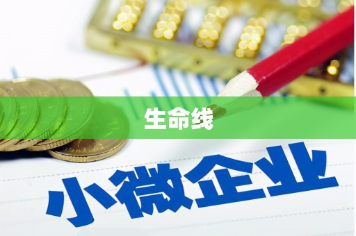 南溪生命线