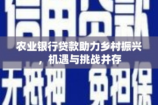 南溪农业银行贷款助力乡村振兴，机遇与挑战并存