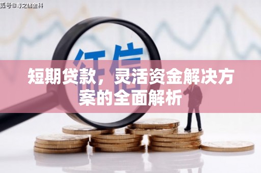 南溪短期贷款，灵活资金解决方案的全面解析