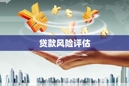 南溪贷款风险评估