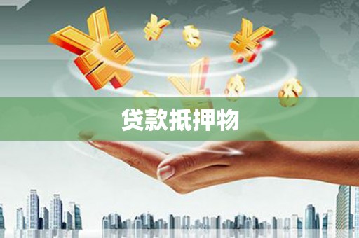 南溪贷款抵押物