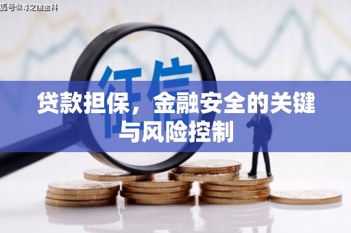南溪贷款担保，金融安全的关键与风险控制