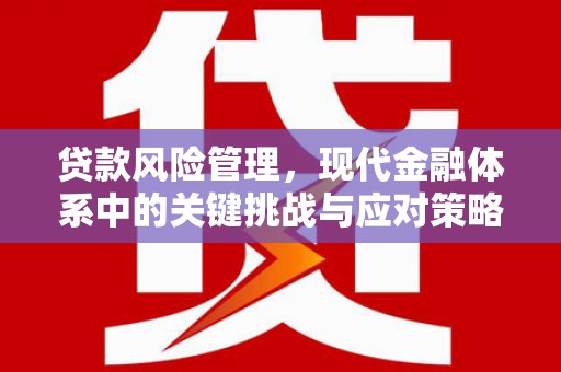 南溪贷款风险管理，现代金融体系中的关键挑战与应对策略