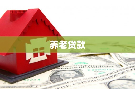 南溪养老贷款