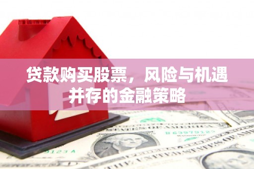 南溪贷款购买股票，风险与机遇并存的金融策略