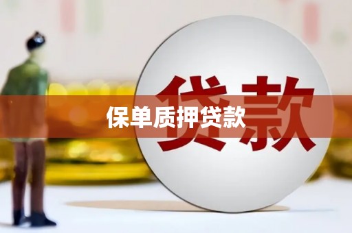 南溪保单质押贷款