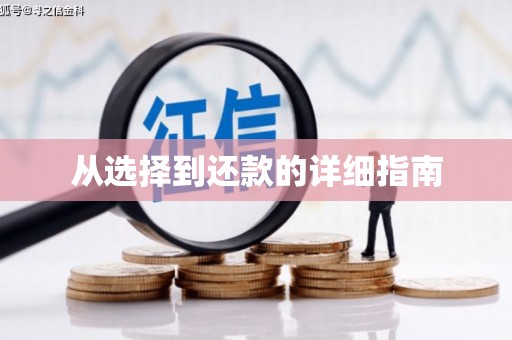 南溪从选择到还款的详细指南