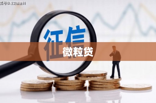 南溪微粒贷