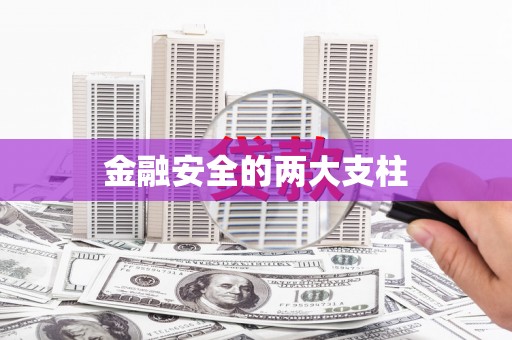 南溪金融安全的两大支柱