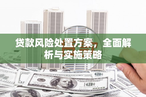 南溪贷款风险处置方案，全面解析与实施策略
