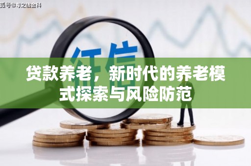 南溪贷款养老，新时代的养老模式探索与风险防范