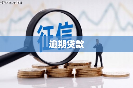 南溪逾期贷款